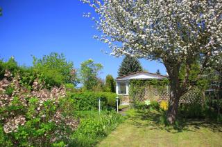 Mitten im Seenland und Spreewaldnah, schöner Garten - Storkow - 4