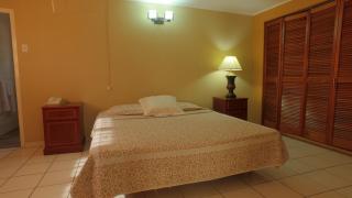 Coconut Inn - Palm-Eagle Beach - 5