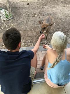 InniBos Marloth Park - Marloth Park - 4