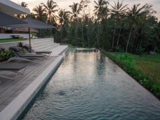 Villa Harta Ubud - Ubud - 4