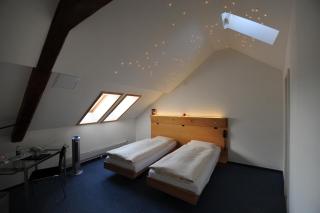 ODELYA - Stadthotel im Park - Basel - 9