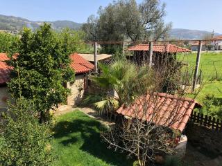 The Olive Tree Country Home - Vila Verde - 5