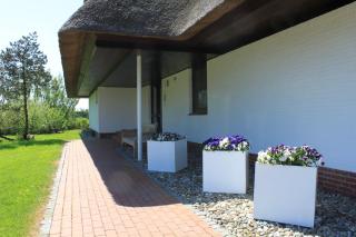 Reetdachwohnung 200m vom Ordinger Strand - Sankt Peter-Ording - 1
