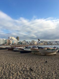 Las Canteras Beach VV - Las Palmas - 1