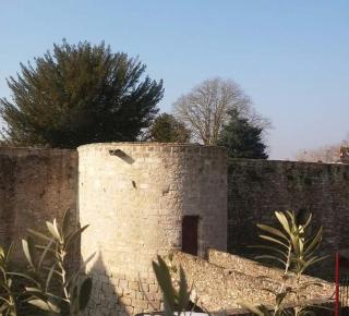 Chambre d'hôte du Château - Dourdan - 8