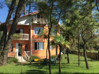 Villa Shekvetili - Shekhvetili - 8