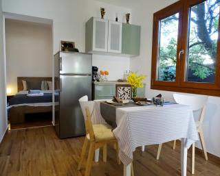 App Sorgo - Novigrad - 9