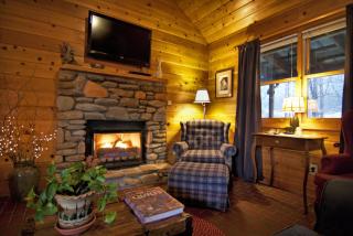 Mountain Springs Cabins - 6