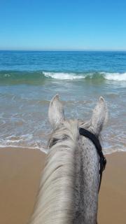 Welbedacht Estate Self catering Accommodation - 1