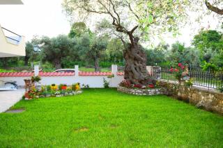 Tsafas Αpartments - Limenas - 9