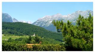 Alla casa del cedro - Cavedago - 1