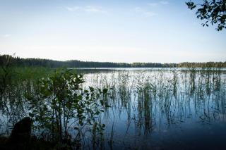 Pullijärve Holiday Park - Misso - 1