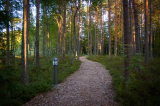 Pullijärve Holiday Park - Misso - 2