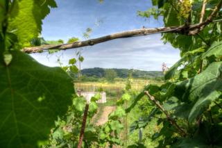 Country House - 3