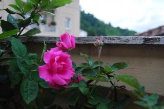 A Casa di Lola - Ascoli Piceno - 1