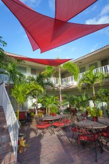 The Big Coconut Guesthouse - Gay Men's Resort - Fort Lauderdale - 5