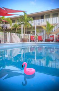The Big Coconut Guesthouse - Gay Men's Resort - 2