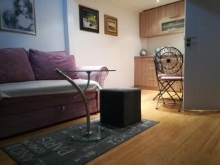 Apartman Galerija - Novi Sad - 7