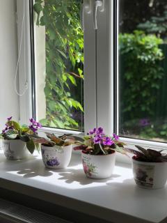 Old Town Apartment Podtatranskeho - 1