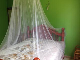 Bercé Par Le COCOTIER Meublé 2 chambres - 4