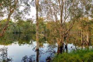 Sanctuary by Sirromet - Mount Cotton - 2
