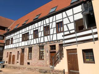 Weingärtner Appartements - Mannheim - 9
