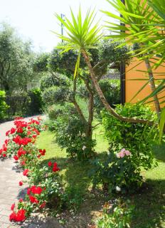Appartamento A due passi dal lago - Toscolano Maderno - 7