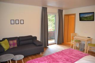 Pension Adlerhorst - Ramsau am Dachstein - 3
