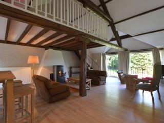 Holiday Home Francorchamps near Circuit - Baronheid - 1