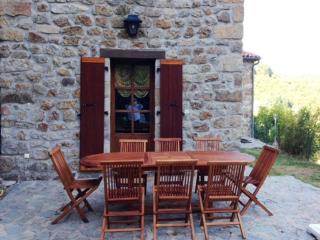 Holiday Home in Ardèche with Nature Views - Saint-Julien-du-Gua - 8