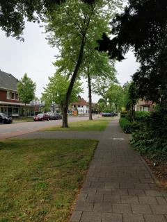B&B Art Gallery 274 - Apeldoorn - 5