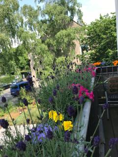 Apartmenthaus Sonnen - Düsseldorf - 2