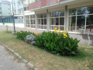 Hotel Antares - Lido di Classe - 7