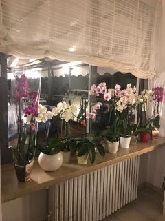 Hotel Smeraldo - Brenzone sul Garda - 4