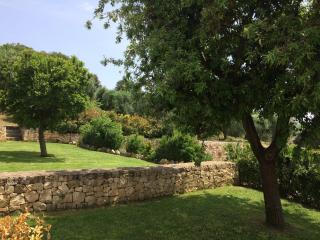 IL Quieto Uliveto - Ostuni - 2