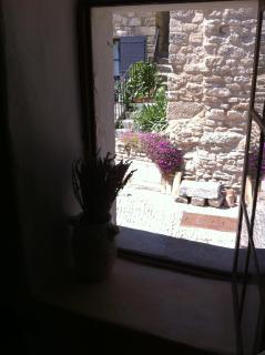 Rose - Bonnieux - 2