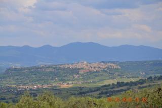 Feudi Spada casa vacanze - Orvieto - 1