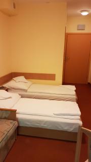 hostel leśny - Sopot - 1