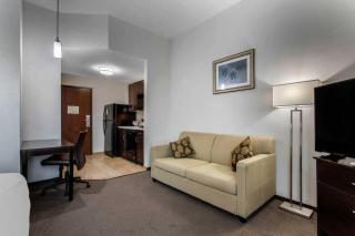 MainStay Suites Big Spring North I-20 - 4