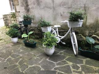 Apartamento La Vieja Panadería 1 - 5