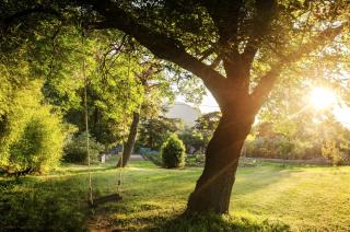 Villa Siena - Roquebrune-sur Argens - 2