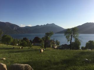 Feichtingerhof - Steinbach am Attersee - 3