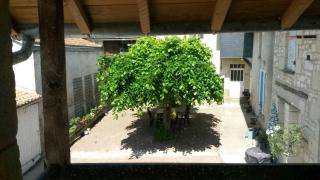 Gîte Pays de la Loire - 5