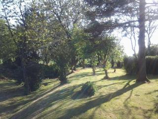 Gite a la campagne - Mailly-Maillet - 5
