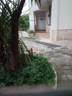 Condominio Ariazzurra S. Bart. - San Bartolomeo al Mare - 3