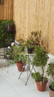 Nice France - Nice - 1