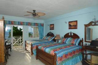Kalinago Beach Resort - Saint Georgeʼs - 4