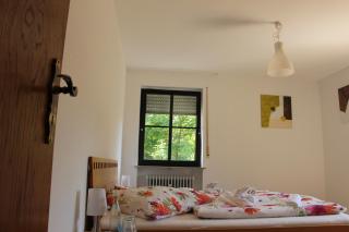 Gasthof Gruner Baum - 8