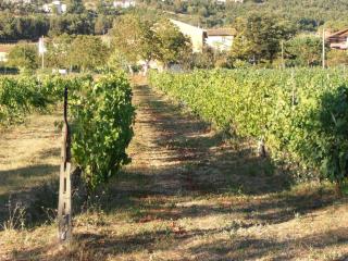 Agriturismo Ponte Di Riocchio - Gubbio - 3