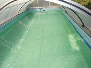 Pension U Kaktusu - 8